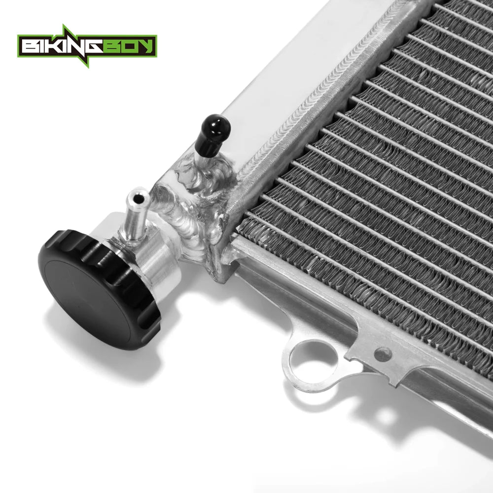 BIKINGBOY For BMW G310GS 18 19 20 21 22 G310R 2017-2022 Engine Radiator Cooling Water Cooler G 310 GS R Polished 17118558350