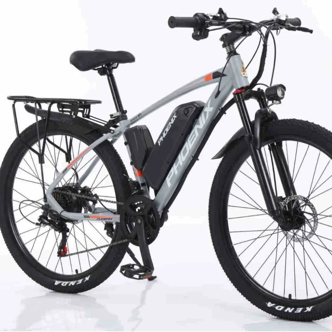 Electric Bike 1000W Motor Fat Tire Mountain Electric Bicycle Beach Snow Ebike 48V 13AH Hidden Battery Bike