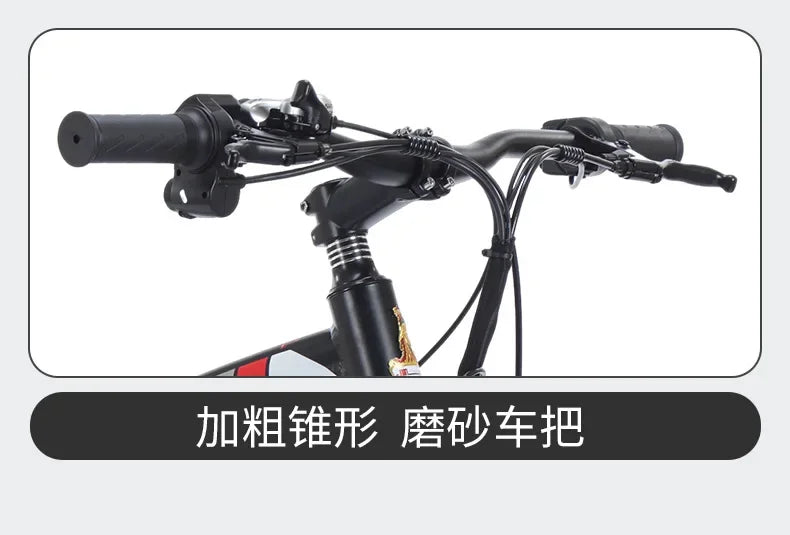 Electric Bike 1000W Motor Fat Tire Mountain Electric Bicycle Beach Snow Ebike 48V 13AH Hidden Battery Bike