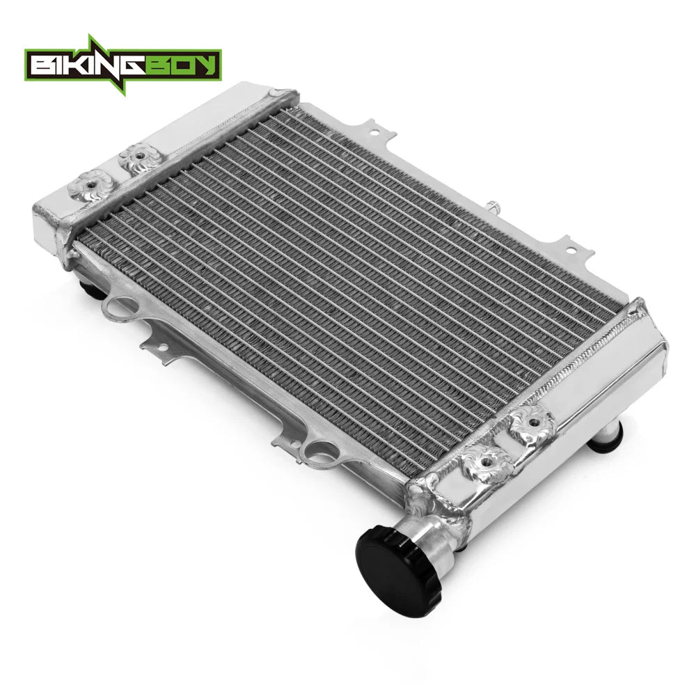 BIKINGBOY For BMW G310GS 18 19 20 21 22 G310R 2017-2022 Engine Radiator Cooling Water Cooler G 310 GS R Polished 17118558350