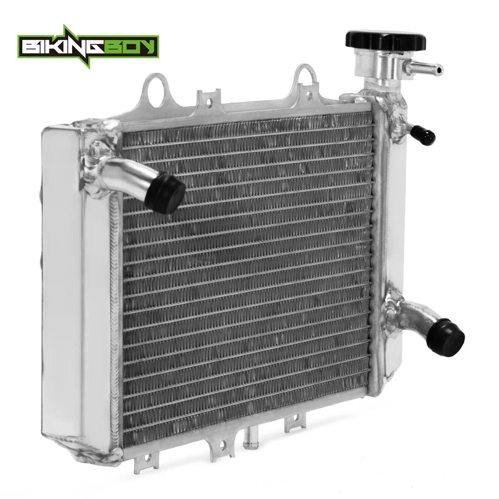 BIKINGBOY For BMW G310GS 18 19 20 21 22 G310R 2017-2022 Engine Radiator Cooling Water Cooler G 310 GS R Polished 17118558350
