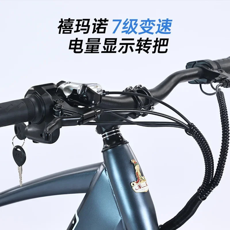 1000W Adult 4.0 Fat Tire Electric Bicycle 26 Inch Snow Beach Ebike 48V 17AH Mountain Electric Bike