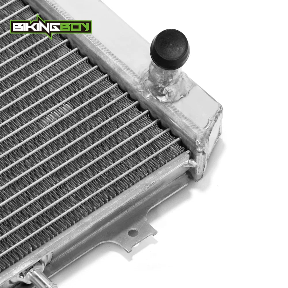 BIKINGBOY For BMW G310GS 18 19 20 21 22 G310R 2017-2022 Engine Radiator Cooling Water Cooler G 310 GS R Polished 17118558350